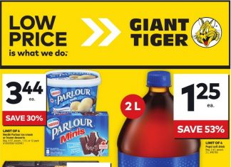 Giant Tiger Weekly Ad Aug 28 – Sep 03, 2024 (Back to School Promotion Included)