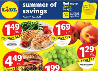 Lidl Weekly Ad Aug 07 – Aug 13, 2024 (Back to School Promotion Included)