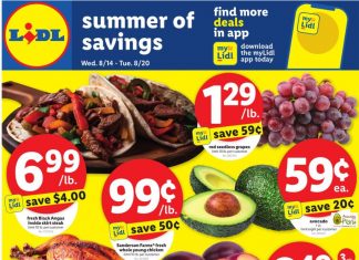 Lidl Weekly Ad Aug 14 – Aug 20, 2024 (Back to School Promotion Included)