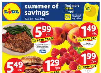 Lidl Weekly Ad Aug 21 – Aug 27, 2024 (Back to School Promotion Included)