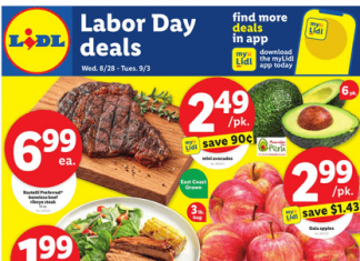 Lidl Weekly Ad Aug 28 – Sep 03, 2024