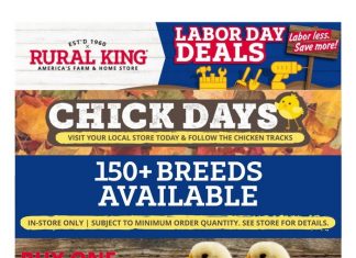 Rural King Weekly Ad Aug 29 – Sep 11, 2024 (Labor Day Promotion Included)
