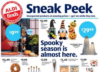 ALDI In-Store Ad Sneak Peek Sep 11 – Sep 17, 2024 (Halloween Promotion Included)