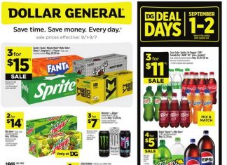 Dollar General Weekly Ad Sep 01 – Sep 07, 2024 (Halloween Promotion Included)