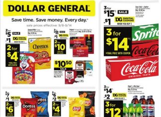 Dollar General Weekly Ad Sep 08 – Sep 14, 2024 (Halloween Promotion Included)