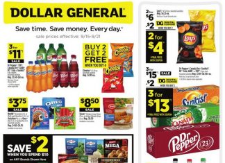 Dollar General Weekly Ad Sep 15 – Sep 21, 2024 (Halloween Promotion Included)