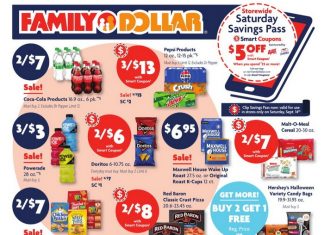 Family Dollar Weekly Ad Sep 08 – Sep 14, 2024 (Halloween Promotion Included)