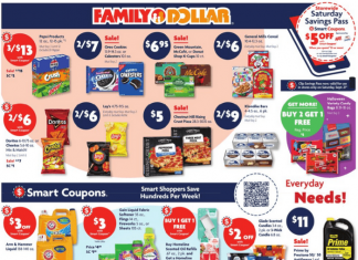 Family Dollar Weekly Ad Sep 15 – Sep 21, 2024 (Halloween Promotion Included)