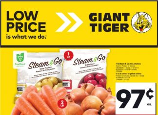 Giant Tiger Weekly Ad Sep 04 – Sep 10, 2024