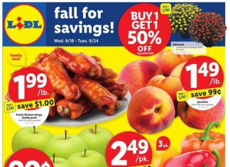 Lidl Weekly Ad Sep 18 – Sep 24, 2024 (Halloween Promotion Included)
