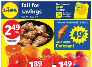 Lidl Weekly Ad Sep 04 – Sep 10, 2024
