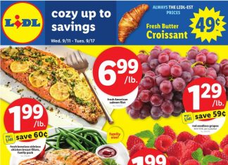 Lidl Weekly Ad Sep 11 – Sep 17, 2024