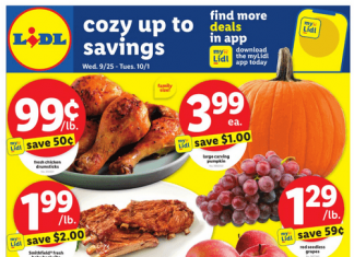 Lidl Weekly Ad Sep 25 – Oct 01, 2024