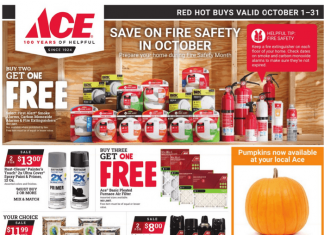 ACE Hardware Monthly Ad Oct 01 – Oct 31, 2024 (Halloween Promotion Included)