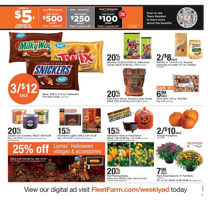 Fleet Farm Weekly Ad Oct 17 Oct 23, 2024 (Halloween Promotion Included)