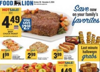 Food Lion Weekly Ad Oct 30 – Nov 05, 2024