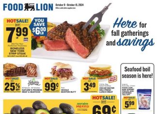 Food Lion Weekly Ad Oct 09 – Oct 15, 2024 (Halloween Promotion Included)