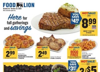 Food Lion Weekly Ad Oct 16 – Oct 22, 2024 (Halloween Promotion Included)