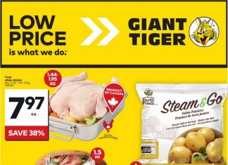 Giant Tiger Weekly Ad Oct 09 – Oct 15, 2024 (Halloween Promotion Included)