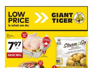 Giant Tiger Weekly Ad Oct 16 – Oct 22, 2024 (Halloween Promotion Included)
