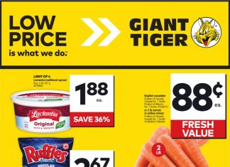 Giant Tiger Weekly Ad Oct 23 – Oct 29, 2024 (Halloween Promotion Included)