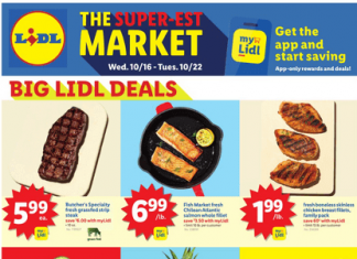 Lidl Weekly Ad Oct 16 – Oct 22, 2024 (Halloween Promotion Included)