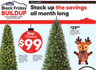Lowe’s In Store Promotion Ad Oct 31 – Nov 06, 2024