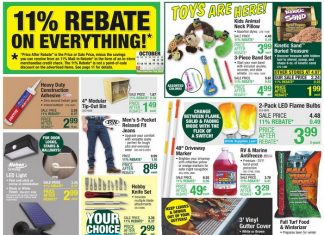 Menards Weekly Ad Oct 10 – Oct 20, 2024 (Halloween Promotion Included)