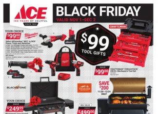 ACE Hardware Black Friday Ad Nov 01 – Dec 02, 2024
