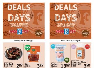 Food City Weekly Ad Nov 13 – Nov 19, 2024 (Thanksgiving Promotion Included)