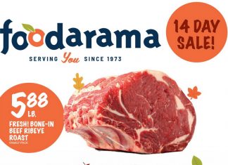 Foodarama Weekly Ad Nov 20 – Dec 03, 2024