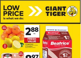 Giant Tiger Weekly Ad Nov 06 – Nov 12, 2024