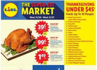 Lidl Weekly Ad Nov 20 – Nov 27, 2024 (Thanksgiving Day Promotion Included)
