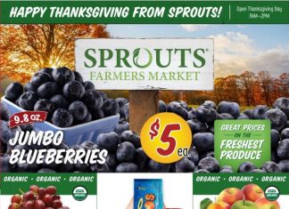 Sprouts Weekly Ad Nov 20 – Nov 28, 2024 (Thanksgiving Promotion Included)