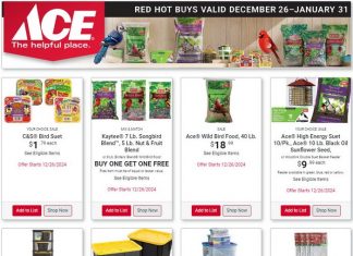 ACE Hardware Monthly Ad Dec 26, 2024 – Jan 31, 2025