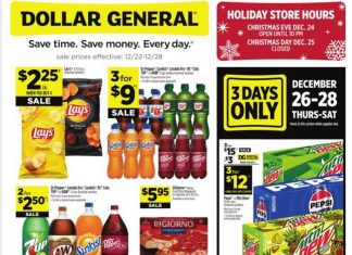 Dollar General Weekly Ad Dec 22 – Dec 28, 2024 (Christmas Promotion Included)