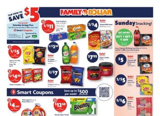 Family Dollar Weekly Ad Dec 29, 2024 – Jan 04, 2025 (New Year Promotion Included)