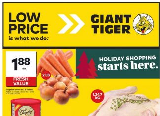 Giant Tiger Weekly Ad Dec 25 – Dec 31, 2024