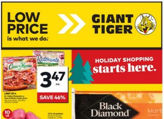 Giant Tiger Weekly Ad Dec 11 – Dec 17, 2024