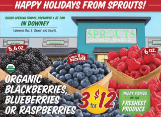 Sprouts Weekly Ad Dec 04 – Dec 10, 2024