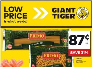 Giant Tiger Weekly Ad Jan 15 – Jan 21, 2025