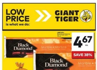 Giant Tiger Weekly Ad Jan 29 – Feb 04, 2025