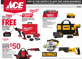 ACE Hardware Monthly Ad Feb 01 – Feb 28, 2025