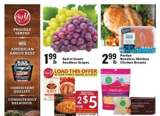 Big Y Weekly Ad Feb 20 – Feb 26, 2025