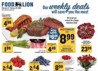 Food Lion Weekly Ad Feb 19 – Feb 25, 2025