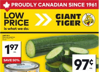 Giant Tiger Weekly Ad Feb 19 – Feb 25, 2025