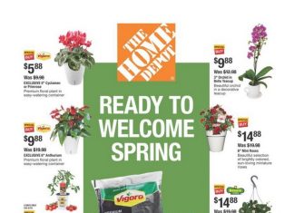 Home Depot Spring Sale Feb 06 – Feb 19, 2025