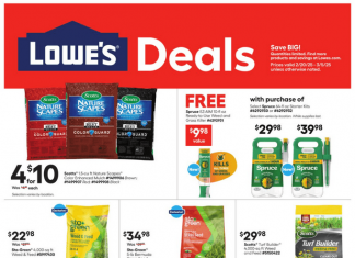Lowe’s Weekly Ad Feb 20 – Mar 05, 2025