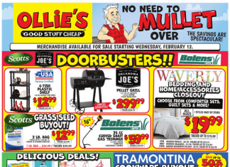Ollie’s Weekly Ad Feb 12 – Feb 19, 2025