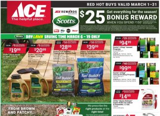 ACE Hardware Monthly Ad Mar 01 – Mar 31, 2025